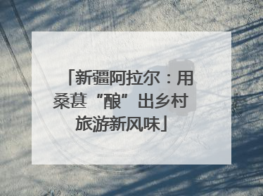 新疆阿拉尔：用桑葚“酿”出乡村旅游新风味