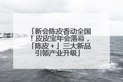 新会陈皮香动全国！皮皮宝年会落幕，「陈皮＋」三大新品引领产业升级