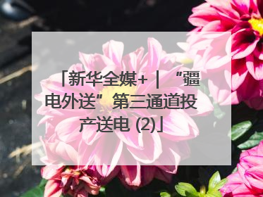 新华全媒+｜“疆电外送”第三通道投产送电 (2)