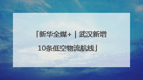 新华全媒+｜武汉新增10条低空物流航线