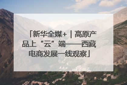 新华全媒+｜高原产品上“云”端——西藏电商发展一线观察