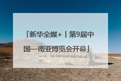 新华全媒+丨第9届中国—南亚博览会开幕