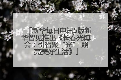 新华每日电讯5版新华智见推出《长春光博会：引智聚“光” 照亮美好生活》