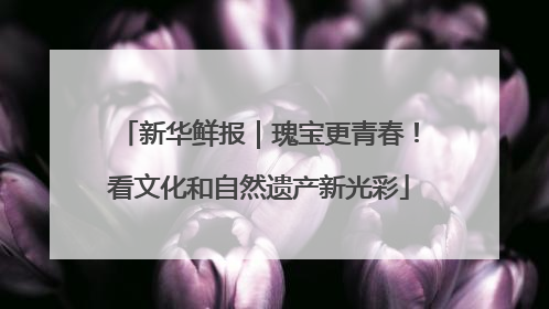新华鲜报｜瑰宝更青春！看文化和自然遗产新光彩