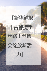 新华鲜报｜古都携手丝路！丝博会绽放新活力