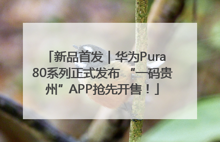新品首发｜华为Pura 80系列正式发布 “一码贵州”APP抢先开售！