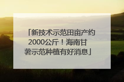 新技术示范田亩产约2000公斤！海南甘薯示范种植有好消息