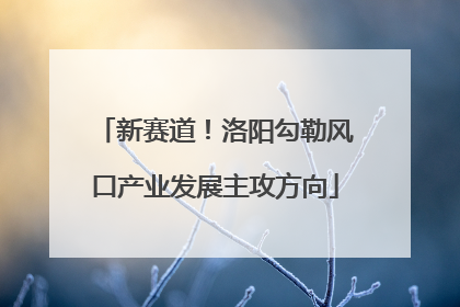 新赛道！洛阳勾勒风口产业发展主攻方向