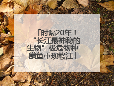 时隔20年！“长江最神秘的生物”极危物种鳤鱼重现赣江