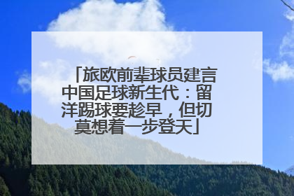 旅欧前辈球员建言中国足球新生代：留洋踢球要趁早，但切莫想着一步登天