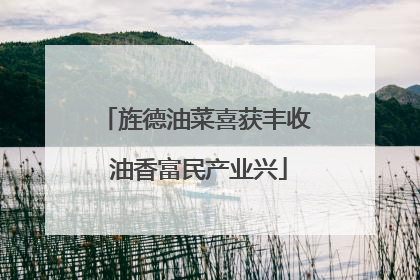 旌德油菜喜获丰收 油香富民产业兴