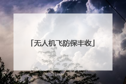 无人机飞防保丰收