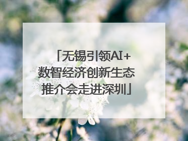 无锡引领AI+数智经济创新生态推介会走进深圳