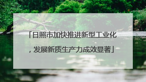 日照市加快推进新型工业化，发展新质生产力成效显著