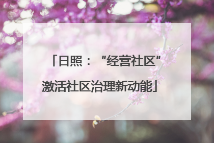 日照：“经营社区”激活社区治理新动能