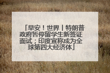 早安！世界丨特朗普政府暂停留学生新签证面试；印度宣称成为全球第四大经济体