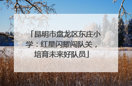 昆明市盘龙区东庄小学：红星闪耀闯队关，培育未来好队员