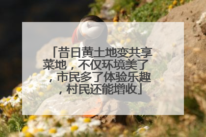昔日黄土地变共享菜地，不仅环境美了，市民多了体验乐趣，村民还能增收