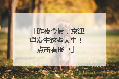 昨夜今晨，京津冀发生这些大事！点击看报→