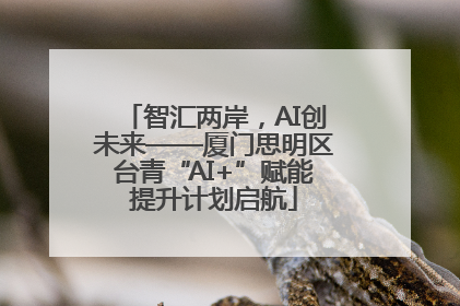 智汇两岸，AI创未来——厦门思明区台青“AI+”赋能提升计划启航