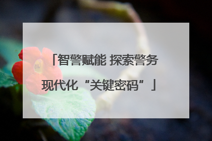 智警赋能 探索警务现代化“关键密码”