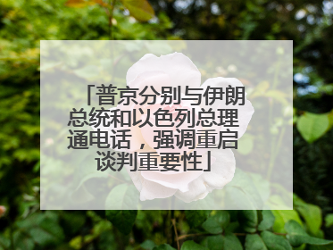 普京分别与伊朗总统和以色列总理通电话，强调重启谈判重要性