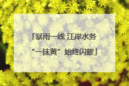 暴雨一线 江岸水务“一抹黄”始终闪耀