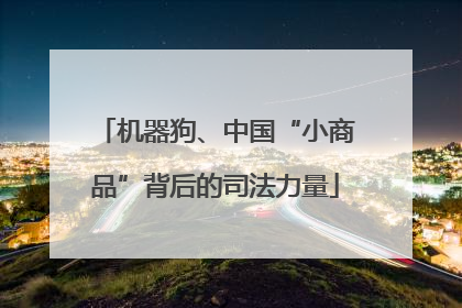 机器狗、中国“小商品”背后的司法力量
