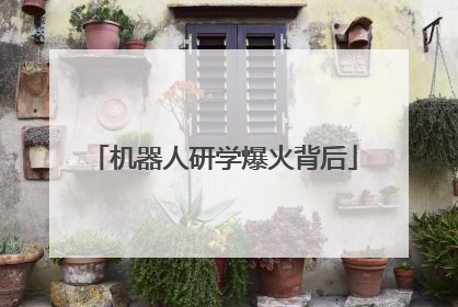 机器人研学爆火背后