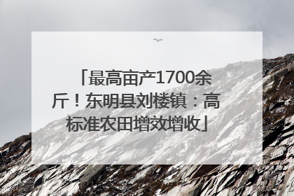 最高亩产1700余斤！东明县刘楼镇：高标准农田增效增收
