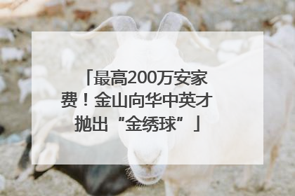 最高200万安家费！金山向华中英才抛出“金绣球”