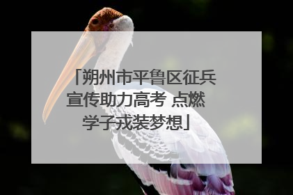 朔州市平鲁区征兵宣传助力高考 点燃学子戎装梦想