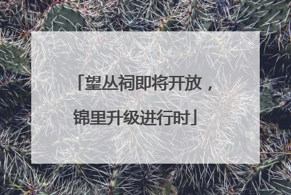 望丛祠即将开放，锦里升级进行时