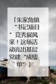 朱家角镇“书记项目”竞秀展风采！这场活动亮出基层党建“成绩单”
