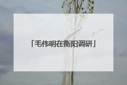 毛伟明在衡阳调研