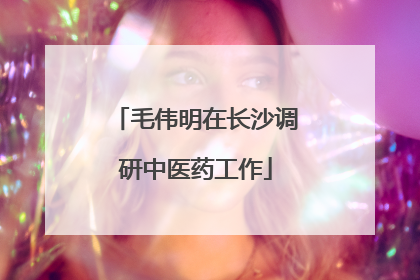 毛伟明在长沙调研中医药工作