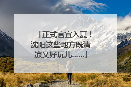 正式官宣入夏！沈阳这些地方既清凉又好玩儿……