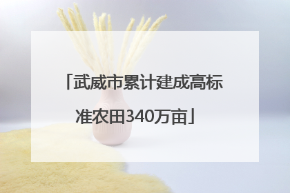 武威市累计建成高标准农田340万亩