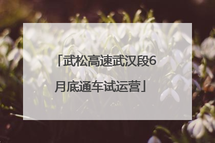 武松高速武汉段6月底通车试运营