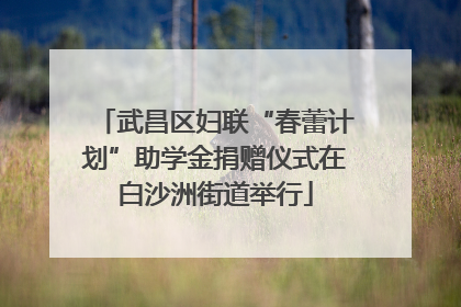 武昌区妇联“春蕾计划”助学金捐赠仪式在白沙洲街道举行