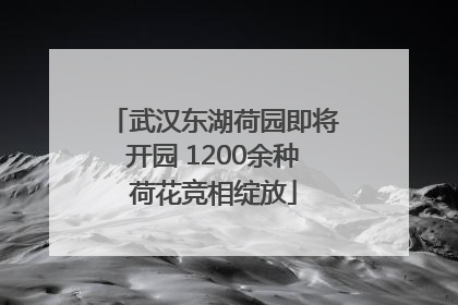 武汉东湖荷园即将开园 1200余种荷花竞相绽放