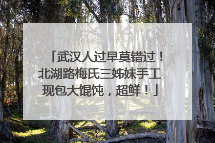 武汉人过早莫错过！北湖路梅氏三姊妹手工现包大馄饨，超鲜！