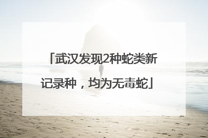 武汉发现2种蛇类新记录种，均为无毒蛇
