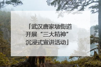武汉唐家墩街道开展“三大精神”沉浸式宣讲活动