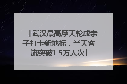 武汉最高摩天轮成亲子打卡新地标，半天客流突破1.5万人次