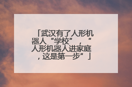 武汉有了人形机器人“学校”，“人形机器人进家庭，这是第一步”