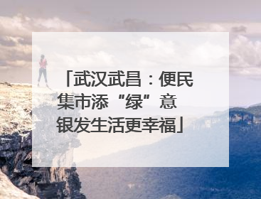 武汉武昌：便民集市添“绿”意 银发生活更幸福