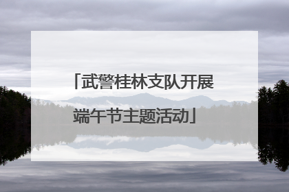 武警桂林支队开展端午节主题活动