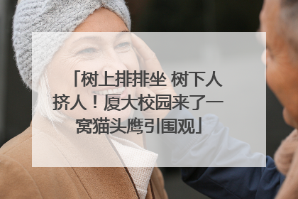 树上排排坐 树下人挤人！厦大校园来了一窝猫头鹰引围观
