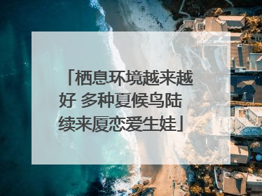 栖息环境越来越好 多种夏候鸟陆续来厦恋爱生娃